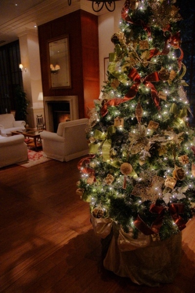クリスマスツリー｜ジャルダンドゥボヌール